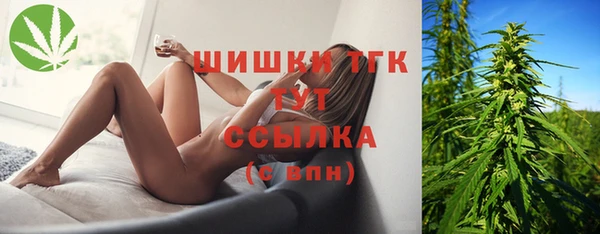 дживик Кинешма