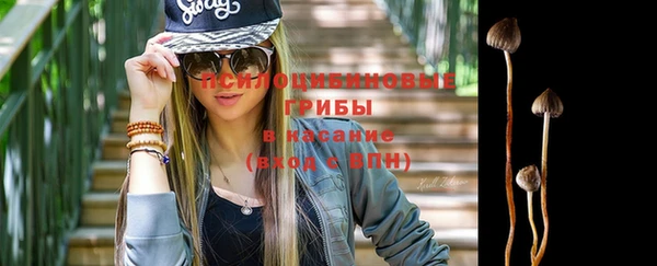 дживик Кинешма