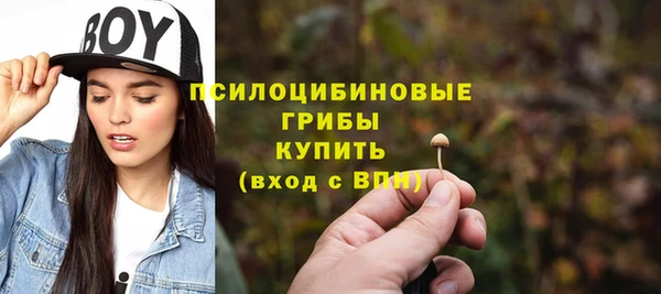 дживик Кинешма
