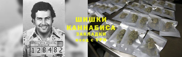 дживик Кинешма