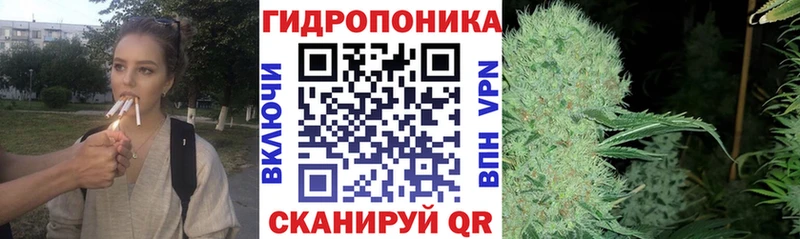 Купить  Ессентуки  Канабис сатива 